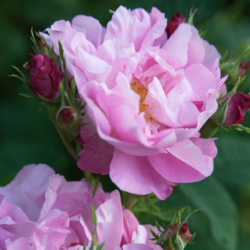 <p>Foto on illustratiivne.</p>