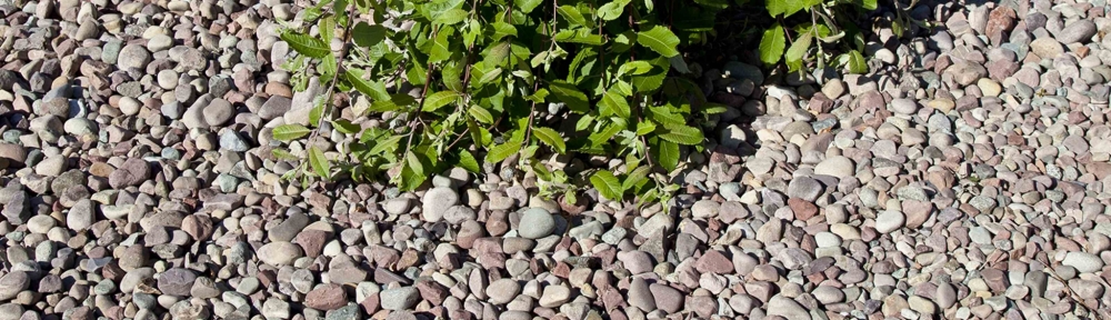 <p>Foto on illustratiivne.</p>