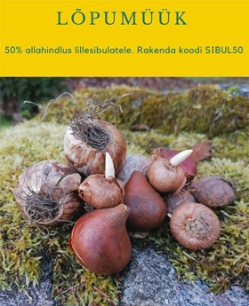 https://popseed.ee/aiatoodete-e-pood/lillesibulad/